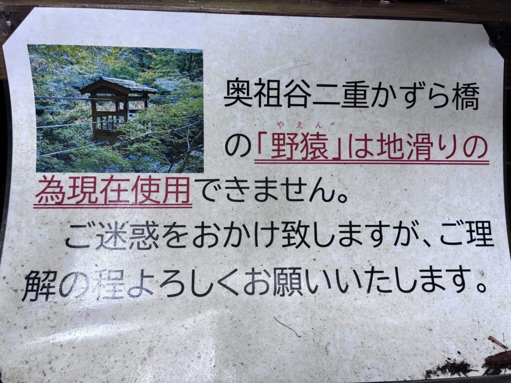 野猿