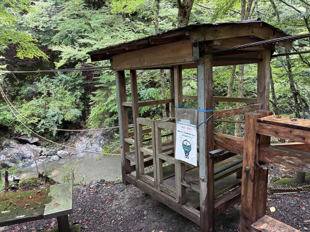 野猿
